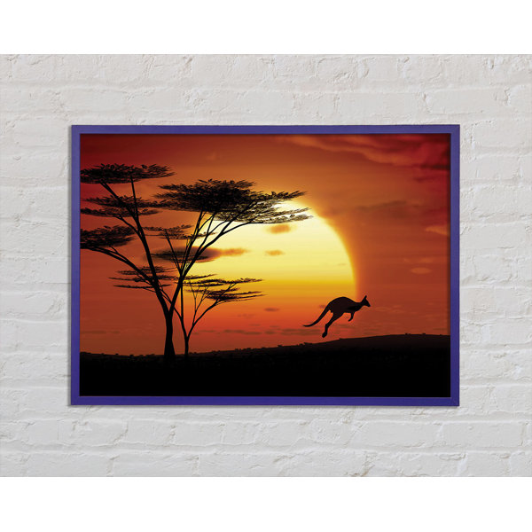 House Of Hampton Gerahmtes Leinwandbild Kangaroo Sun Glow Wayfair De